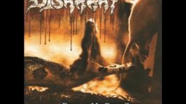 DISARRAY - "Conform" 2009 re-issue