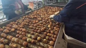 Овощехранилище с. Преградное Красногвардейского округа Ставропольского края