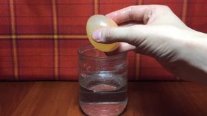 ЯЙЦО В УКСУС! ЧТО БУДЕТ?