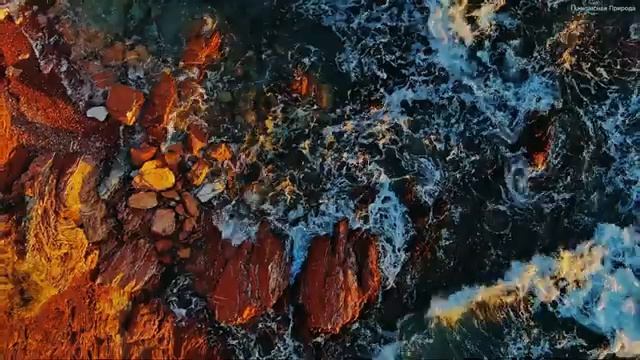 Прекрасная мелодия до слёз! Послушайте эту песню и вам станет легче! Красивая музыка Сергей Грищук# смотреть онлайн