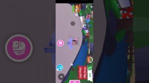 играю в игру где есть петы