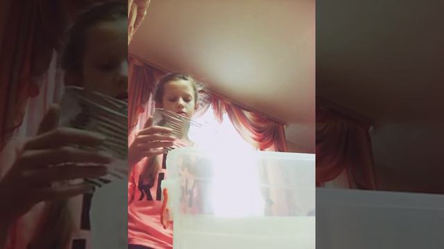 Мои покупки для хомячка смотреть онлайн