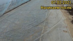 Посев ПЕТУНИИ в большом объеме. СЕЕМ 200.000 ПЕТУНИИ. МЕГА ПОСЕВ??