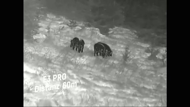 Xeye E3 PRO 60m смотреть онлайн