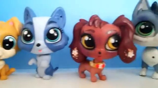 😜Вся моя Коллекция lps😘. Видео получилось коротким😕.
