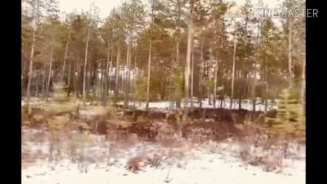 #зимапришла)
