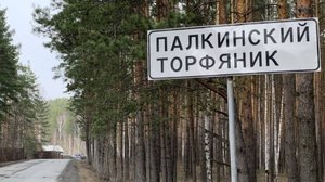 Уч. 10 сот. Палкинский торфяник