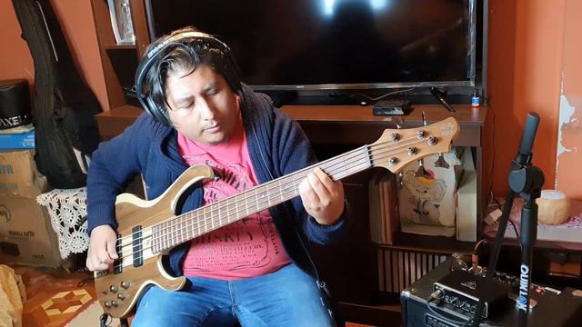 Nirvana - Heart Shaped Box (Bass Cover) смотреть онлайн