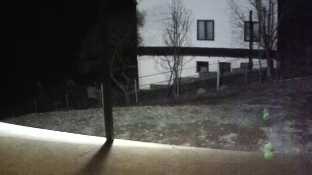 Помогите узнать, что это за животное? смотреть онлайн