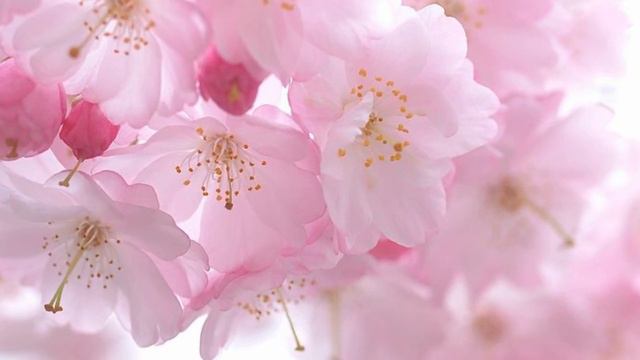 МОЙ МАЛЕНЬКИЙ БОГ-ВАЛЕРИЙ ЯРУШИН смотреть онлайн