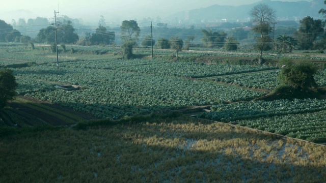 Маргинал о проблеме государств без границ смотреть онлайн