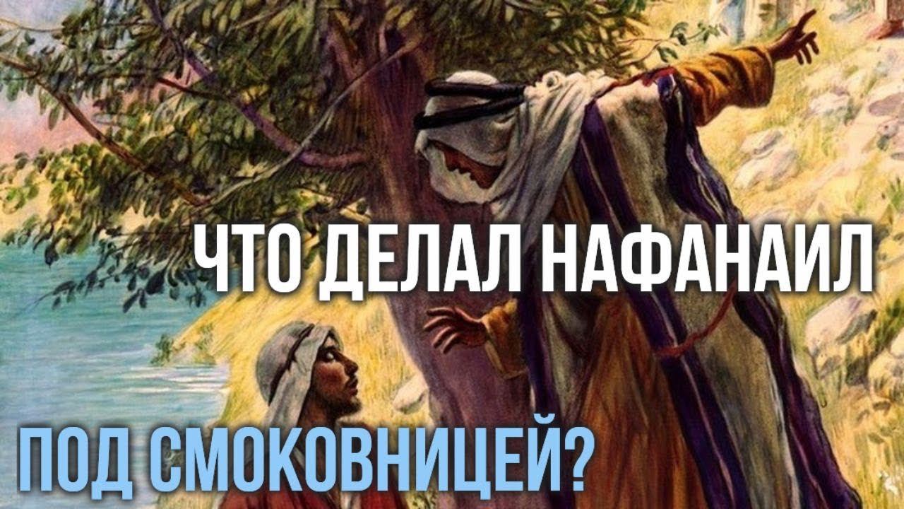 Что делал Нафанаил под смоковницей? Максим Каскун