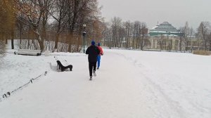 ПРЕДНОВОГОДНЯЯ БОЛТАЛКА В ТАВРИЧЕСКОМ САДУ