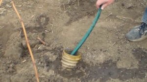 Виноград Влагозарядный полив, Способы полива