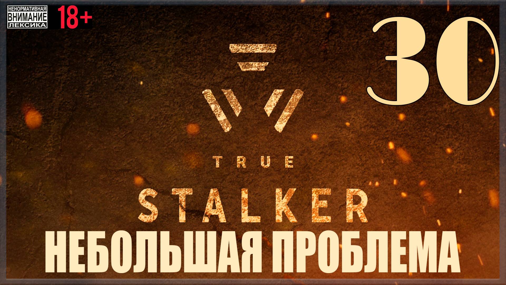 ☢ True Stalker | S.T.A.L.K.E.R. CoP mod #30 Небольшая проблема