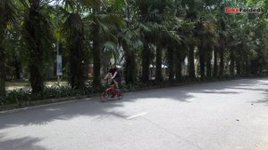 DAHON Curl i8 Folding Bike Review - The Brompton Killer?