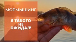 #12 #мормышинг  Впервые пробую ловить на мормышку! Вот это да!