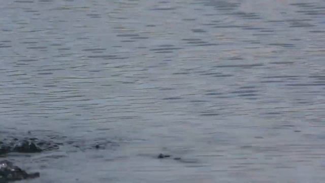 Плотва в начале ноября!Подарок осени! смотреть онлайн