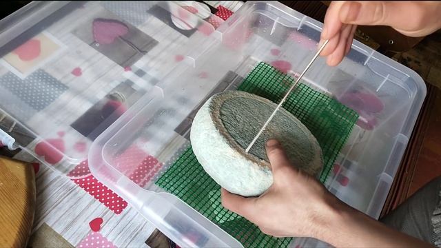 Уход и выдержка сыра с голубой плесенью смотреть онлайн