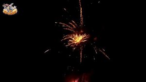 Фейерверк ОТС 5151 Праздничный (1,2" х 49)