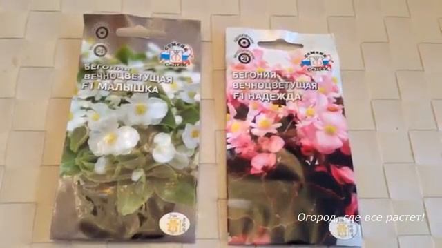 Цветы, которые посажу и которые не посажу.mp4 смотреть онлайн