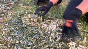 STIHL GHE 250 универсальный измельчитель веток