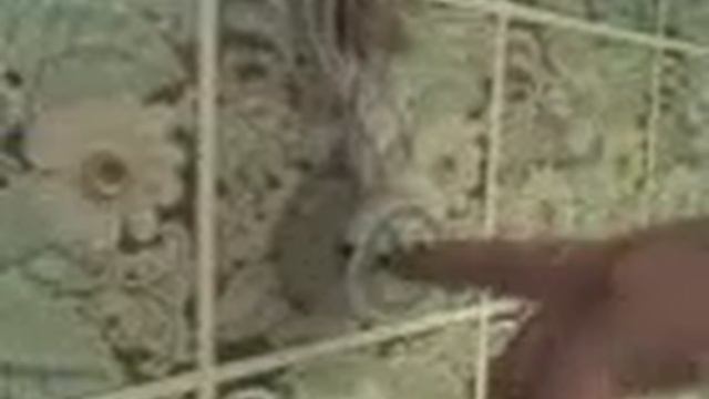 резетка антиквариат 1953 смотреть онлайн