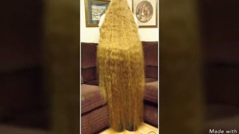 Самые длинные волосы в мире!