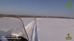 Охота на рысь в Кировской области / Lynx hunting in Kirov region