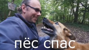 Пес спас мою жену.