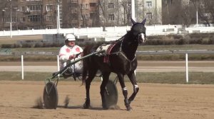 Московский ипподром. Бега. 13.04.14. Заезд 5(128). ПРИЗ В ЧЕСТЬ ДНЯ РОЖДЕНИЯ А.М.ПОЛЗУНОВОЙ