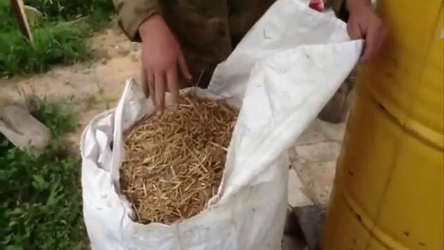 Большой мешок для гидротермии грибного субстрата (Large bag hydrothermistry mushroom substrate) смотреть онлайн