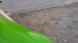 Мотоленд 150 кубов, краткий обзор