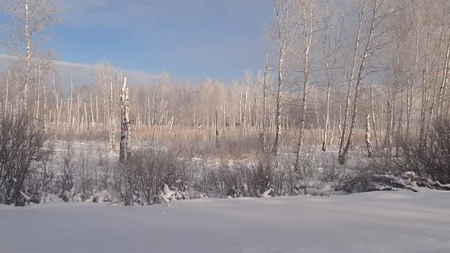 работа в сибири 2020 смотреть онлайн