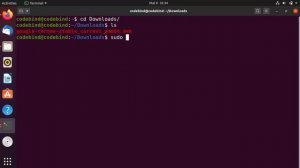 How to Install Google Chrome in Ubuntu 20.04 LTS Focal Fossa (Linux)