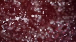 Алина Загитова в рекламе Shiseido ultimune power infusing concentrate alina zagitova