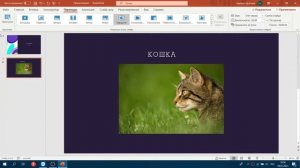как правильно пользоваться Power Point