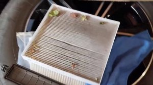 хендай крета. фильтр салона. меняйте чаще.