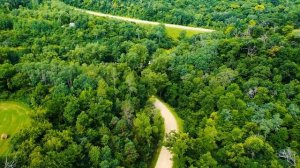 Видео без авторских прав/ 4к/ Лес/ Дорога/ Видео с дрона