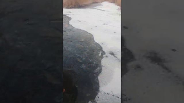 у нас в селе Кислица уже открыли купательный сезон🤣🤣🤣😂 смотреть онлайн