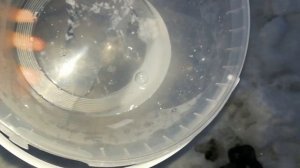Топим лёд с помощью раствора соли