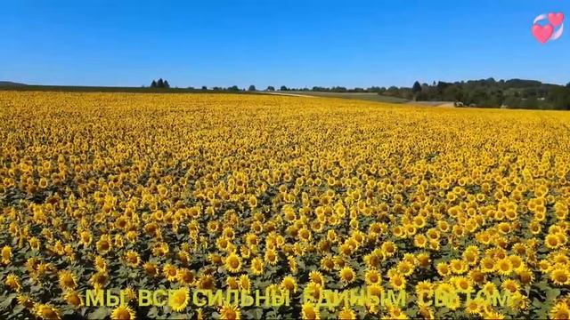 Медитация Аффирмация Спокойствия, Гармонии, Мира, Добра