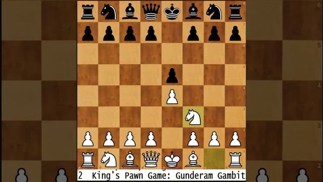 2  King's Pawn Game: Gunderam Gambit