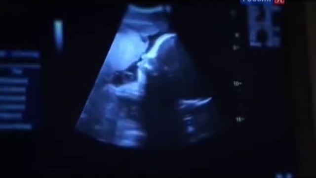 Альтруизм по Владимиру Павловичу Эфроимсону смотреть онлайн