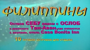 Филиппины СЕБУ Ослоб отель Casa Bonita Inn в Тан-Аван, где купаются с АКУЛАМИ 10 лучших островов для