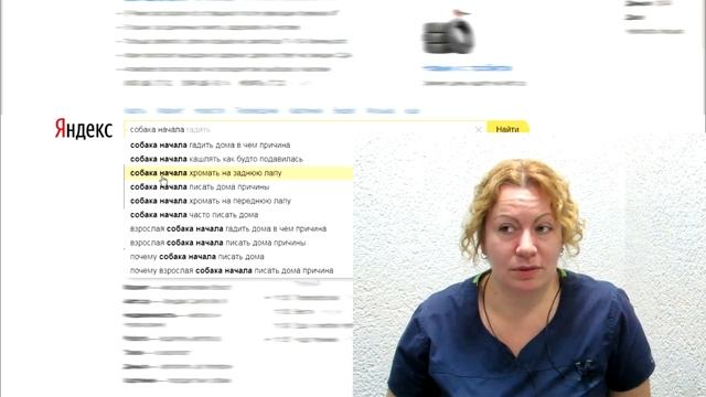 Собака начала писать дома, какие причины? Узнавайка смотреть онлайн