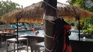 CITRUS PARC HOTEL PATTAYA 4* - Grand Scenaria Hotel