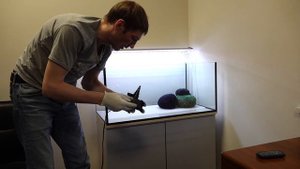 Запуск медленного травника в офисе