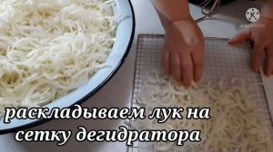 Спасаем Лук. Сушёный Лук. Лук в Дегидраторе.