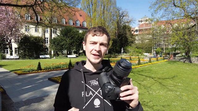 Extreme Macro Lenses: Canon MP-E65 vs. Venus Laowa 2.5-5X